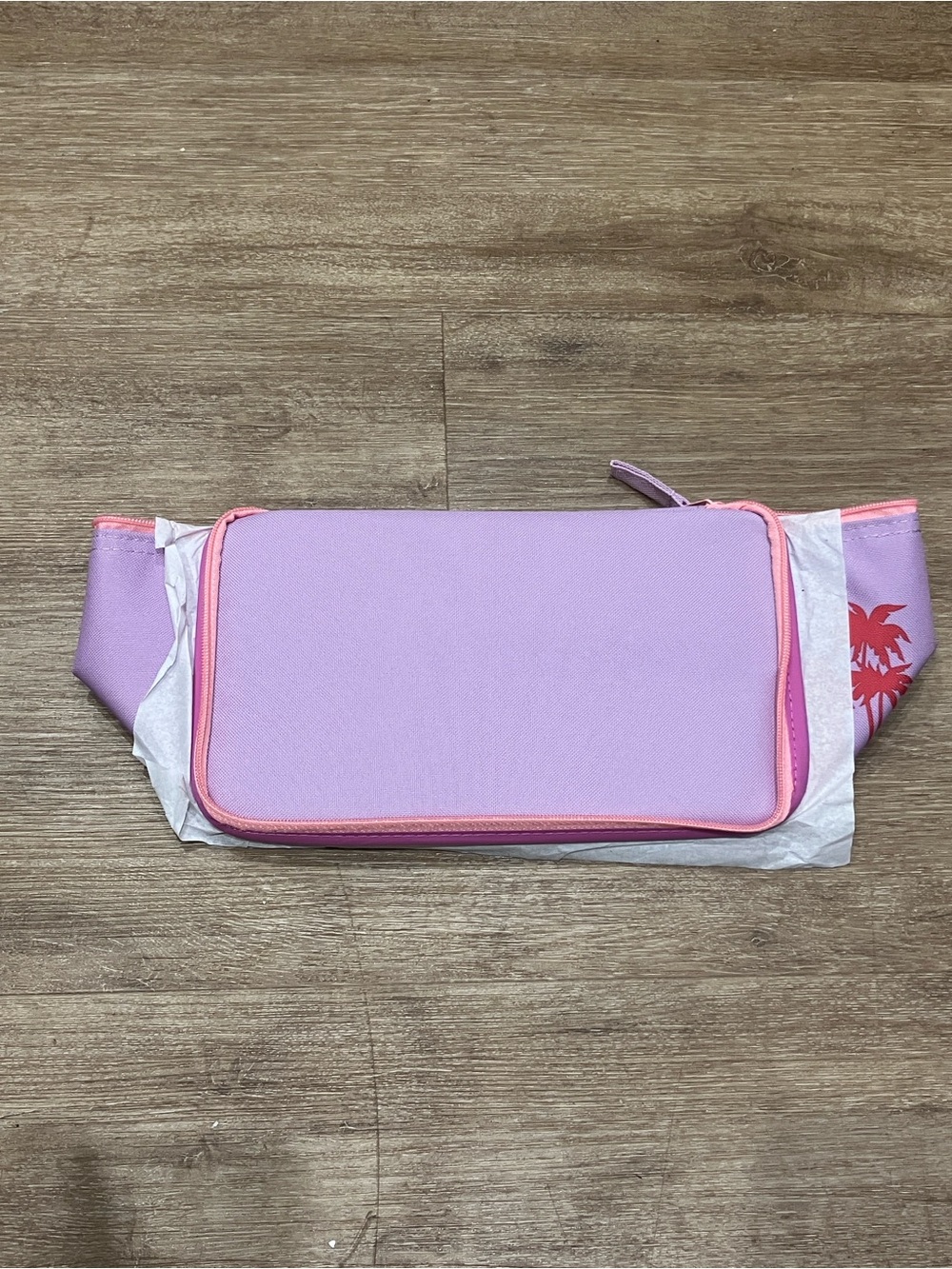 Trader Joe’s mini insulated cooler bag